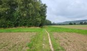 Trail Walking Andenne - Andenne 290823 - Photo 13