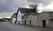 Percorso A piedi Gemeinde Höflein - Via Vinum (Rundwanderweg Höflein) - Photo 1