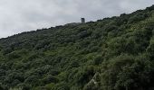 Tocht Stappen Argelès-sur-Mer - massane - Photo 14