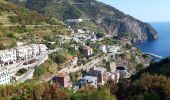 Trail Walking Vernazza - Rando cinq Terre 4ème jour Vernazza-Riomaggiore - Photo 4