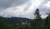 Tocht Stappen Martelange - Martelange, Radelange, Forêt d’Anlier - Photo 3