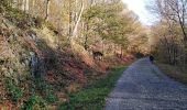 Tour Wandern Spa - musée du l'avoir		+ bois de Spa + étang de Chawion - Photo 17