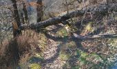 Tocht Stappen Lapeyrugue - La vallée du Goul - Photo 1