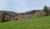 Excursión Senderismo Murat-le-Quaire - coux-banne-ordanche-coux - Photo 20