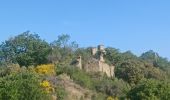 Trail Walking Château-Arnoux-Saint-Auban - CHATEAU NVSD . LE TOUR DES AMARINES N - Photo 8