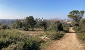 Tocht Stappen Uzès - Uzes  - Photo 1