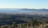 Trail  Fréjus - Colle douce - vers Capelan  - Photo 3
