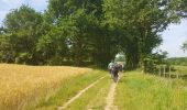 Tocht Stappen Saint-Fargeau-Ponthierry - Ppnthierry-barbizon-Bois le Roi - Photo 2