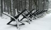 Percorso A piedi Slavonice - NS Pohádkovým lesem - Photo 4