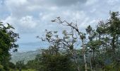 Tocht  Saint-Joseph - Boucle de rabuchon  - Photo 2