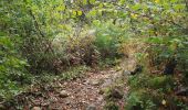 Excursión Senderismo Cros - Le pont du diable, en p1rtant du gîte aux milles fleurs - Photo 5