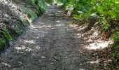 Trail Walking Tournavaux - Tournavaux - Photo 3