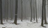 Tocht Stappen Malmedy - Cascade de Bayehon  - Photo 2