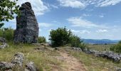 Trail Walking Fraissinet-de-Fourques - Nime le Vieux 10 km - Photo 3