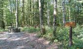 Trail Walking Sentheim - Sentheim Petite Fontaine Leval Sentheim - Photo 5
