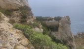 Trail Walking La Ciotat - Arche de la Ciotat  - Photo 11