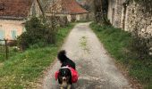 Tocht Stappen Sauliac-sur-Célé - Sauliac sur céle Cabreret en boucle  - Photo 14