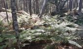 Excursión Senderismo Fontainebleau - fontainebleau richer canon - Photo 2