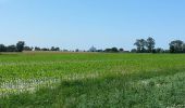 Trail Walking Huisnes-sur-Mer - Mont-St-Michel - 14km 64m 4h30 - 2017 06 26 - Photo 2