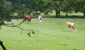 Tocht Noords wandelen Soumagne - melen_26_07_2020 - Photo 18