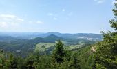 Trail Walking Ranrupt - 2023-06-04 Marche Col de Steige Tour du Climont - Photo 3