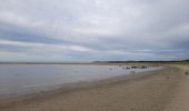 Randonnée Marche Camiers - Baie de Canches et retour par la mer - Photo 4