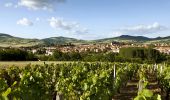 Trail Walking Vic-le-Comte - Vic_le_Comte_Vignes - Photo 1