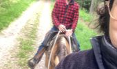 Trail Horseback riding Belmont - Acpl 2ème jour Belmont Bellefosse  - Photo 5