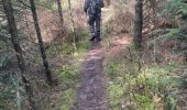 Trail Walking Stavelot - Stavelot- Chemin des source  14 Km - Photo 14