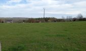 Tour Wandern Ferrières - Fermières 15 nov 20 - Photo 1