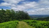 Randonnée Marche Sare - col de lizarrieta et col des 3 bornes - Photo 4