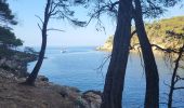 Trail Walking Bandol - Bandol - St Cyr par le sentier du littoral - Photo 12