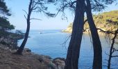 Tocht Stappen Bandol - Bandol - St Cyr par le sentier du littoral - Photo 12