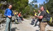 Randonnée Marche Tourves - Tourves- Le Saut du Cabri - Les gorges du Caramy - Photo 17