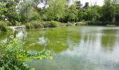 Randonnée Marche Grans - Grans - Fontaine Mary Rose - Photo 2