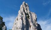 Randonnée Marche Gigondas - Les dentelles de Montmirail depuis Gigondas - Photo 6