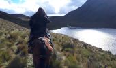 Trail Horseback riding Juncal - Cabalgata Culebrillas - Photo 3