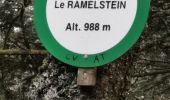 Tocht Stappen Sainte-Croix-aux-Mines - boucle col haut de Ribeauvillé - taennchel sentier des roches  - Photo 14