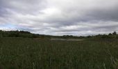 Trail Walking Conamara Municipal District - Ballykine loop  - Photo 2