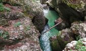 Excursión Senderismo Bohinj - Gorges - Photo 13