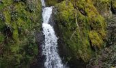 Tour Wandern Oberhaslach - Oberhaslach - Porte de Pierre - Rocher de Mutzig - Cascade de Soultzbach - Photo 12