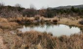 Tocht Stappen Mazaugues - Mourre d' Agnis-16-03-21 - Photo 7