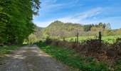 Percorso Marcia La Bourboule - Dordogne-StRoch-Liournat_fohet - Photo 15