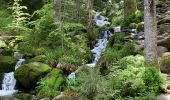 Tocht  Gérardmer - Bourrique, tour et cascade de Merelle - Photo 1