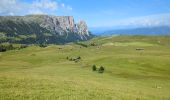 Trail Walking Kastelruth - Castelrotto - Seiser Alm - Refuge Tierser-Alpl - Photo 16