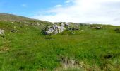 Tour Zu Fuß West Cork - Coomkeen Loop Walk - Photo 2