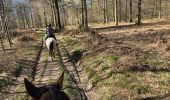 Trail Horseback riding Florenville - Les Epioux  - Photo 5