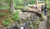 Tocht Stappen Stavelot - 20220711 - Francorchamps 7.1 Km - Photo 20