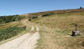 Randonnée A pied Job - La Vallee du Fossat - Les Rocher de la Pause - Photo 3