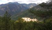 Randonnée Marche Marie - marie col de serena par la piste et retour sentier - Photo 2